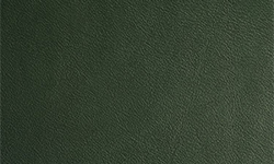 Fjords Green SL 202 Soft Line Leather 